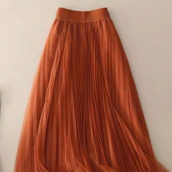 Pumpkin Spice Women's Elegant Pleated Mesh A-Line Skirt - Picture 6 of 7
